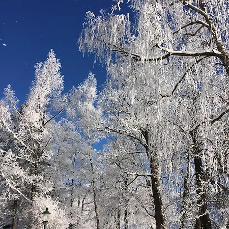 Seeblick By Pinzgau Holidays * زيل أم سي