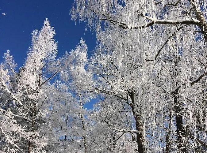 Seeblick By Pinzgau Holidays * Zell am See